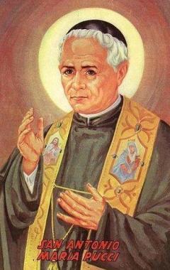 <b>IL &laquo;CURATINO&raquo;.</b> S. Antonio Pucci 