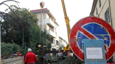 Operai impegnati a tagliare i pini