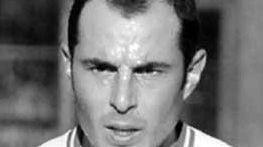 Michele Taddei Castelli