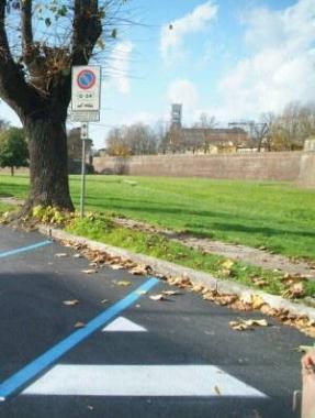 Gli spalti lungo viale Giusti  