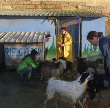 Due immagini del canile di San Lorenzo a Pagnatico il cui sito &egrave; stato clonato 