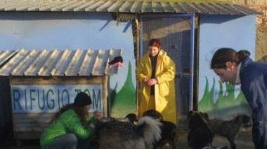 Due immagini del canile di San Lorenzo a Pagnatico il cui sito è stato clonato