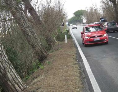 Un mazzo di fiori appeso a un albero lungo l’Aurelia ricorda una vittima della strada
