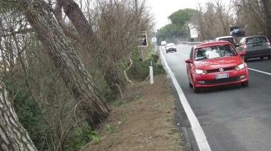 Un mazzo di fiori appeso a un albero lungo l’Aurelia ricorda una vittima della strada