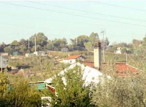 Padre e figlio mettono in fuga i ladri