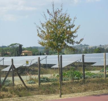 Pannelli fotovoltaici installati nelle campagne    