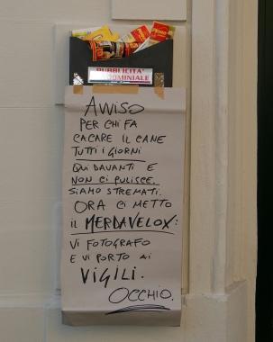 IL CASO