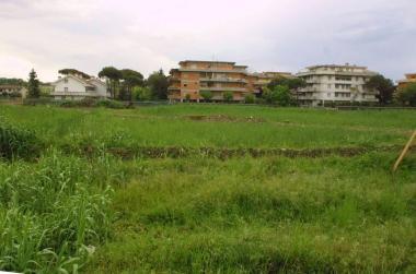 <b>LAREA.</b> La zona di Riva dei Ronchi   