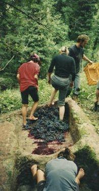 <strong>PESTAROLE </strong>Uno degli otto manufatti in pietra trovati nel castello di Seggiano