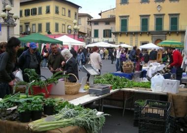 Agripolis in piazza Montanelli 