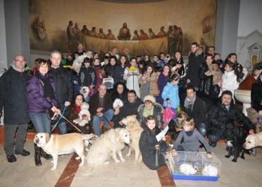 Una benedizione di animali 