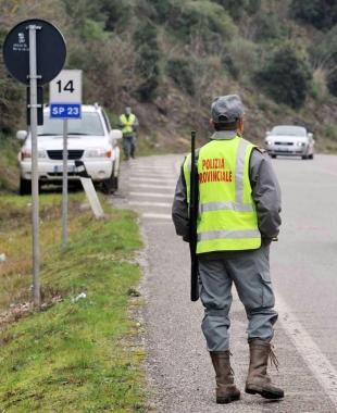 Immagini della cacciata straordinaria di ieri mattina 