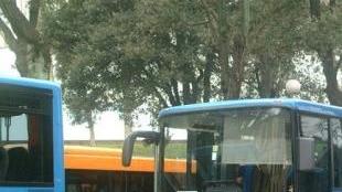 Bus Lazzi e Clap e sotto una corsa per studenti