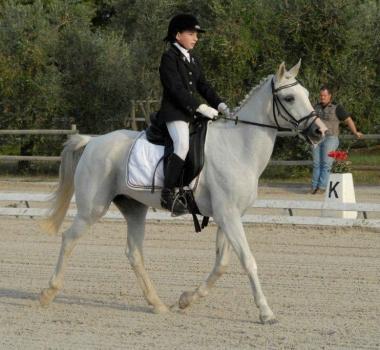 Lamazzone Beatrice Costarelli durante una gara di dressage            