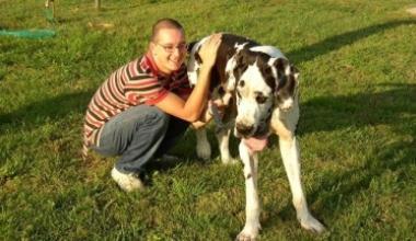 Uccide un cane con un bastone animato, denunciato