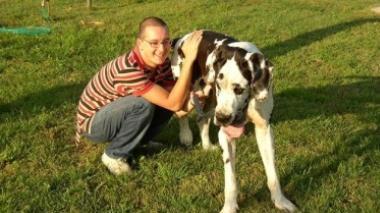 Uccide un cane con un bastone animato, denunciato
