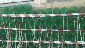 Sequestrate 169 nasse Ora è caccia al pescatore