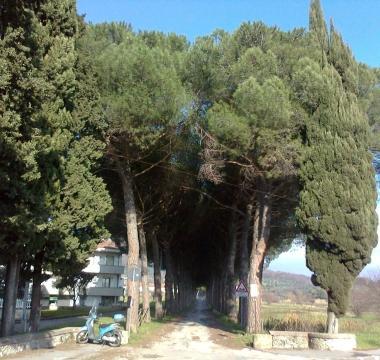 Viale Minnetti