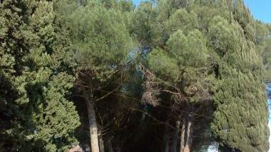 Viale Minnetti