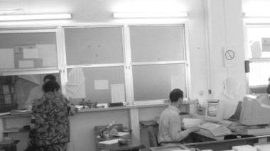 Dipendenti comunali al lavoro in un ufficio
