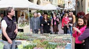 Sono i pensionati a salvare Montelupo dagli effetti della crisi