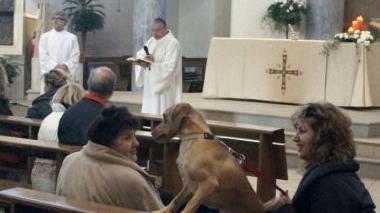 Cani e gatti benedetti in chiesa