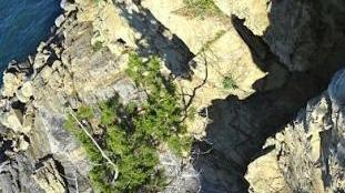 La cagnolina Asia sulla sporgenza rocciosa e il pompiere che la porta in spalla (a destra). Foto del servizio documentazione vigili del fuoco