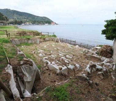 Lo scavo a San Cerbone 