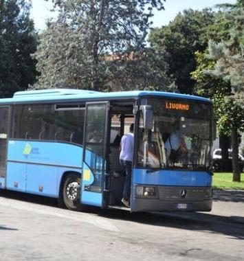 Perché cancellare il pronto bus?