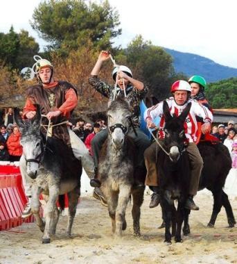 Il palio dei somari a Campo 