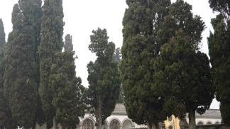 Una veduta del cimitero a La Rotta