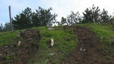 Sentieri collinari rovinati dal passaggio di fuoristrada e moto enduro