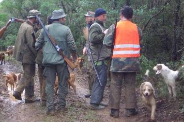 Una battuta di caccia al cinghiale    