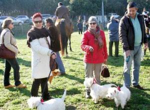 Cani, gatti e bimbi in piazza
