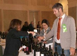Vini lucchesi al top nelle guide