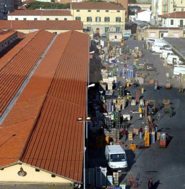 Il mercato otrtofrutticolo 