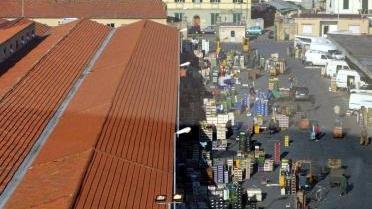 Il mercato otrtofrutticolo
