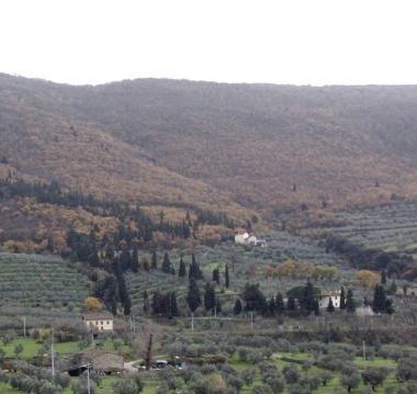 Le colline intorno a Prato   