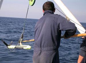 «Nessun veleno nel container al largo di San Vincenzo»