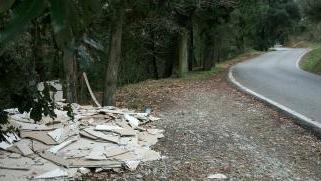 La discarica abusiva al margine nel bosco del Brucio