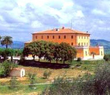 <b>NELLA BUFERA </b>LAzienda agricola di Alberese         