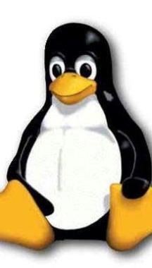 <b>IL SIMBOLO </b>di Linux 