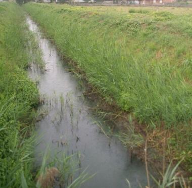 Un rio da mettere in sicurezza 