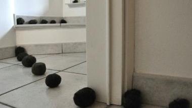 Una delle opere in mostra