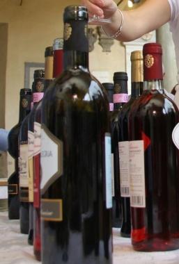 A sinistra, la canina Olympia con i medici e gli altri operatori    