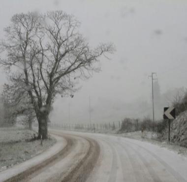 <b>IMBIANCATE. </b>La neve &egrave; arrivata su strade e vigneti 