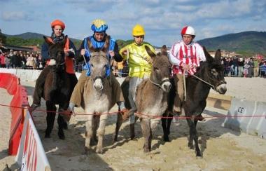 Una immagine della passata edizione del palio dei somari 