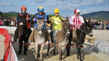 Una immagine della passata edizione del palio dei somari