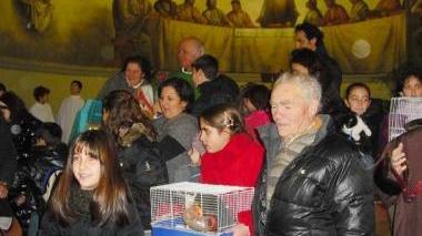 Benedizione degli animali a Riparbella