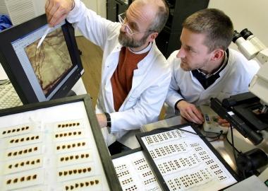 Sbarca in città l'Alzheimer Caffè per combattere la demenza